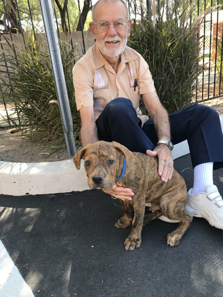 Pet therapy with Ollie